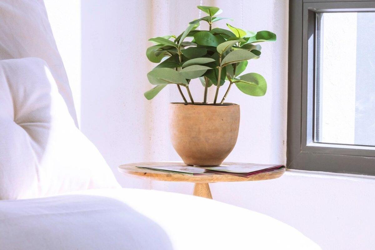 Exclusivo Loft A Pasos Del Zocalo No Lo Pierdas Mexico-stad Buitenkant foto
